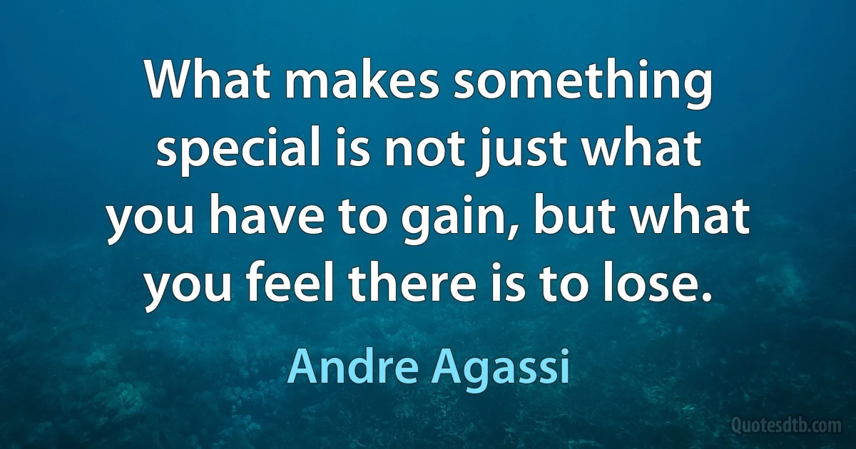 What makes something special is not just what you have to gain, but what you feel there is to lose. (Andre Agassi)