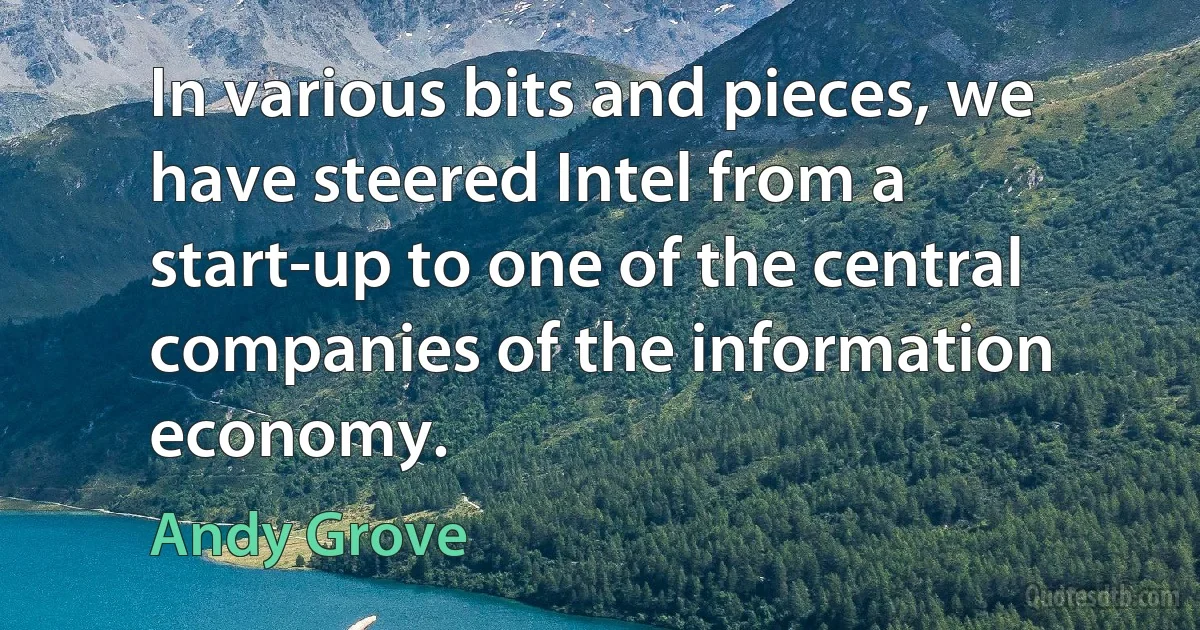 In various bits and pieces, we have steered Intel from a start-up to one of the central companies of the information economy. (Andy Grove)