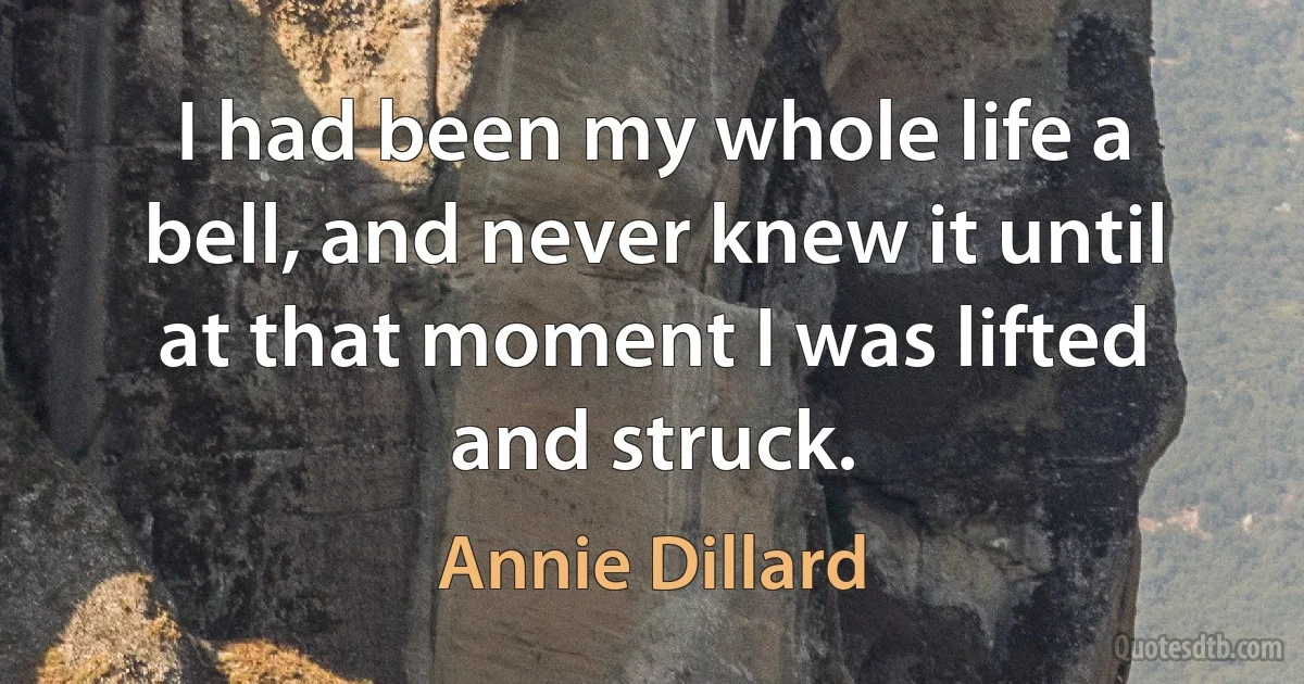 I had been my whole life a bell, and never knew it until at that moment I was lifted and struck. (Annie Dillard)