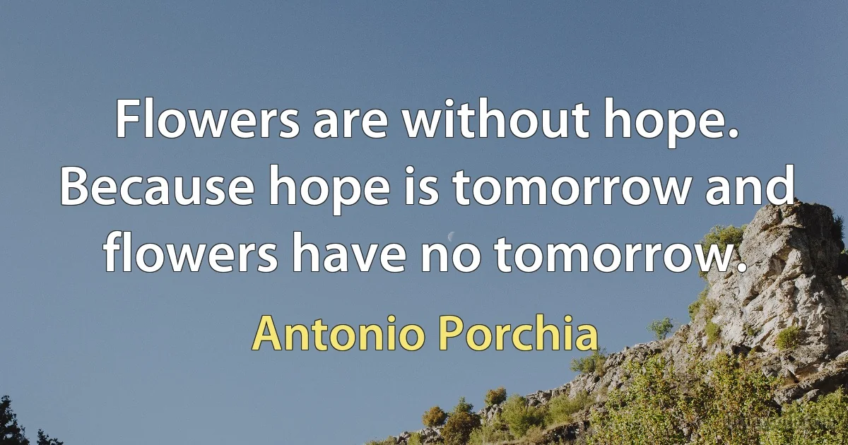 Flowers are without hope. Because hope is tomorrow and flowers have no tomorrow. (Antonio Porchia)