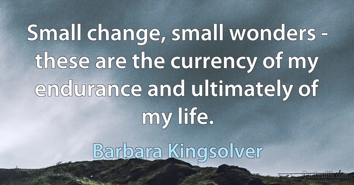 Small change, small wonders - these are the currency of my endurance and ultimately of my life. (Barbara Kingsolver)