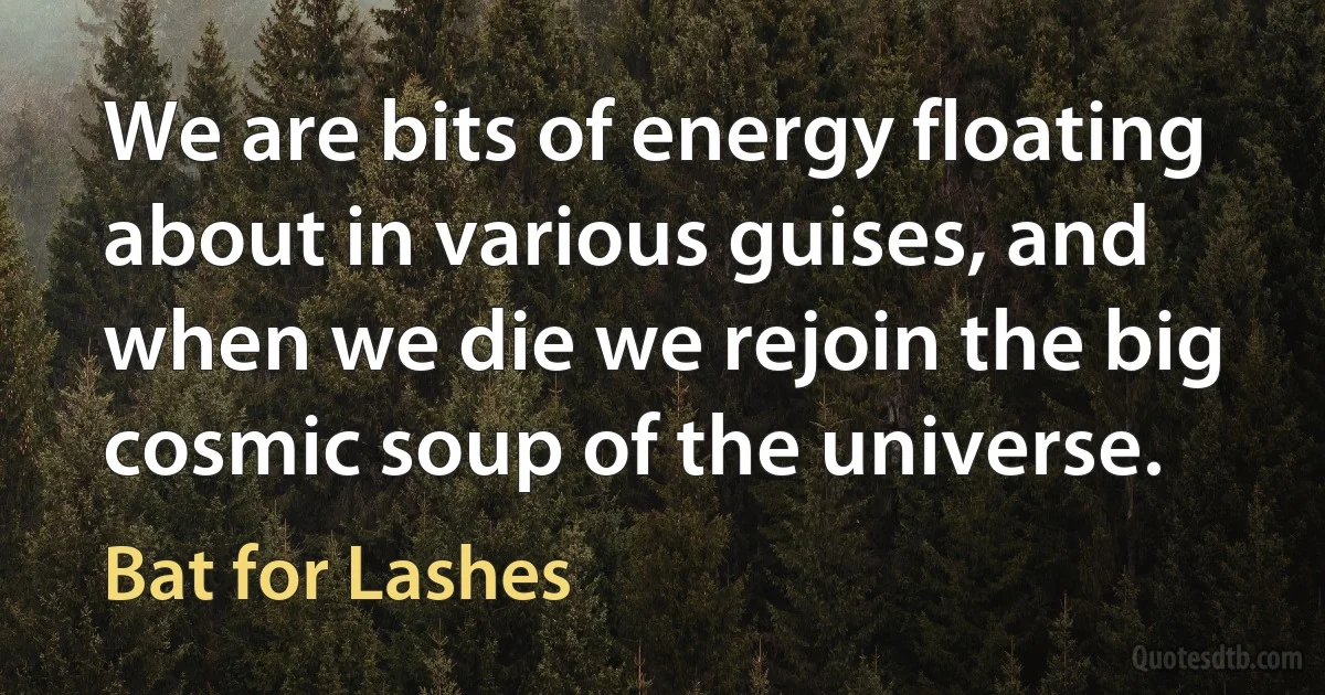 We are bits of energy floating about in various guises, and when we die we rejoin the big cosmic soup of the universe. (Bat for Lashes)