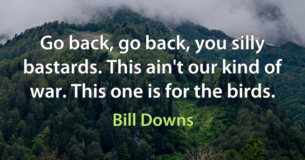 Go back, go back, you silly bastards. This ain't our kind of war. This one is for the birds. (Bill Downs)