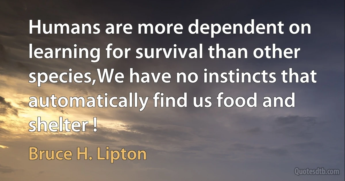 Humans are more dependent on learning for survival than other species,We have no instincts that automatically find us food and shelter ! (Bruce H. Lipton)