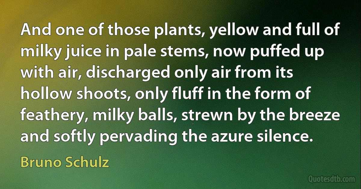 And one of those plants, yellow and full of milky juice in pale stems, now puffed up with air, discharged only air from its hollow shoots, only fluff in the form of feathery, milky balls, strewn by the breeze and softly pervading the azure silence. (Bruno Schulz)