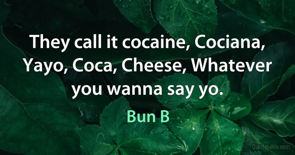 They call it cocaine, Cociana, Yayo, Coca, Cheese, Whatever you wanna say yo. (Bun B)