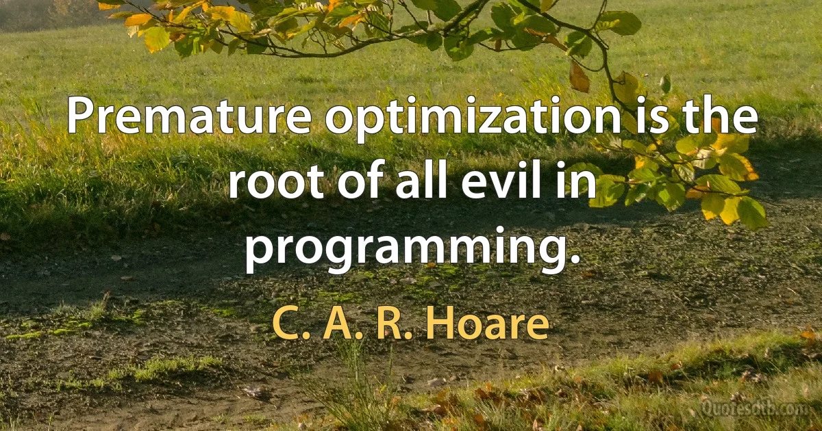 Premature optimization is the root of all evil in programming. (C. A. R. Hoare)