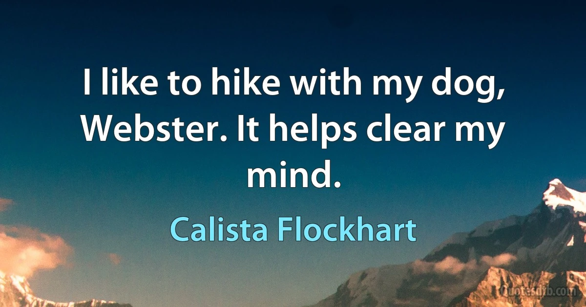 I like to hike with my dog, Webster. It helps clear my mind. (Calista Flockhart)