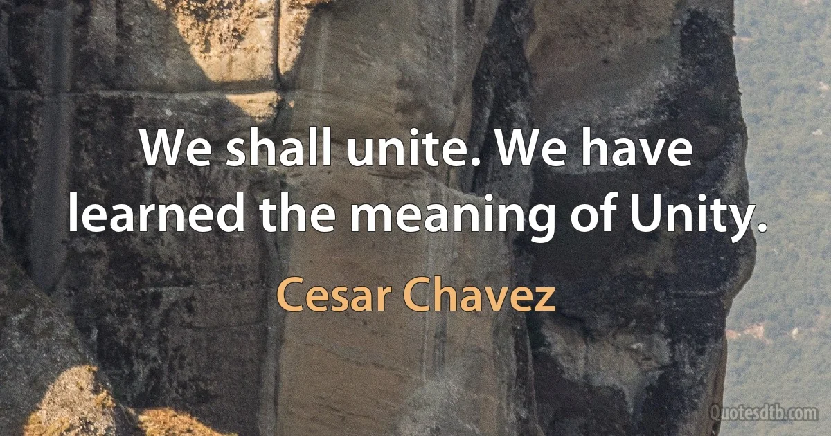 We shall unite. We have learned the meaning of Unity. (Cesar Chavez)