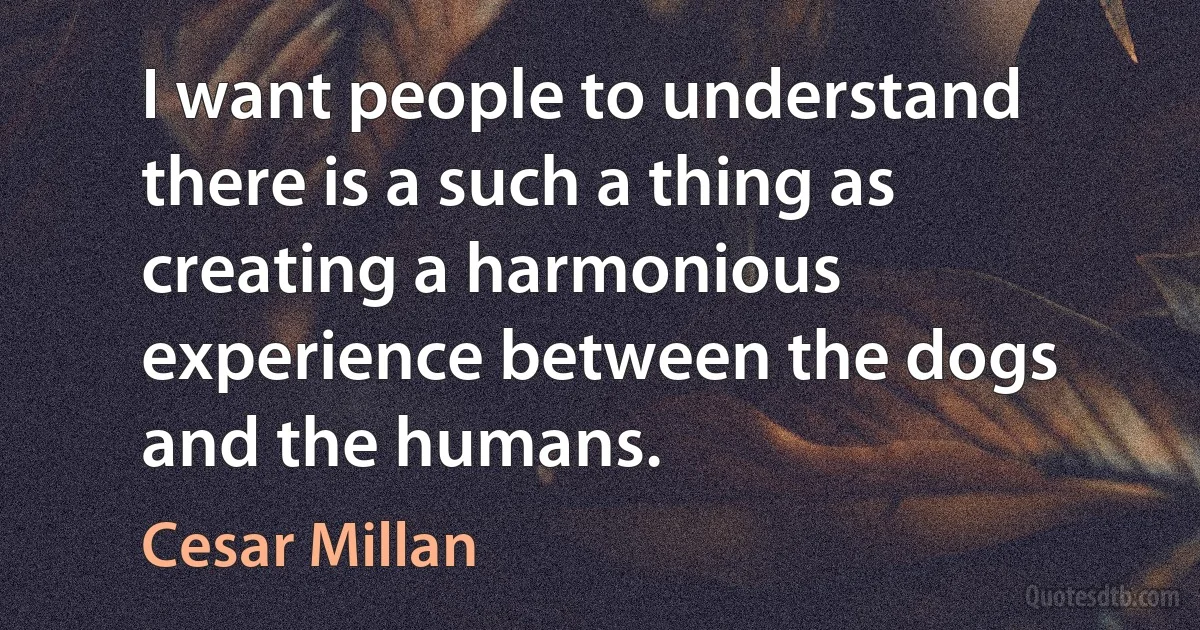 I want people to understand there is a such a thing as creating a harmonious experience between the dogs and the humans. (Cesar Millan)