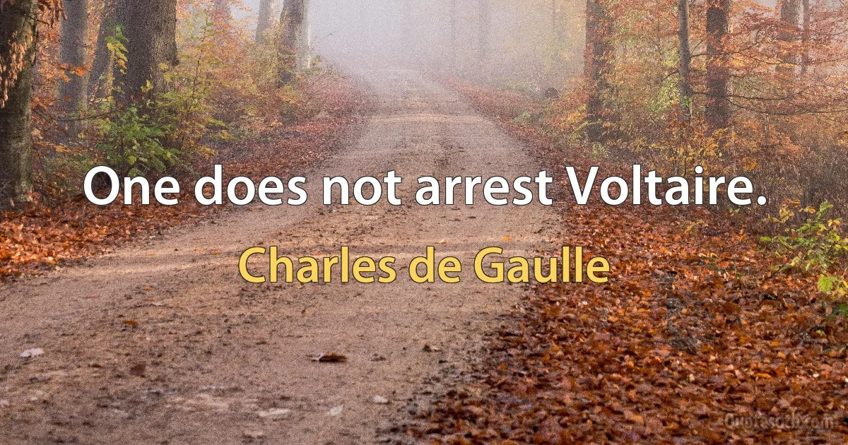 One does not arrest Voltaire. (Charles de Gaulle)