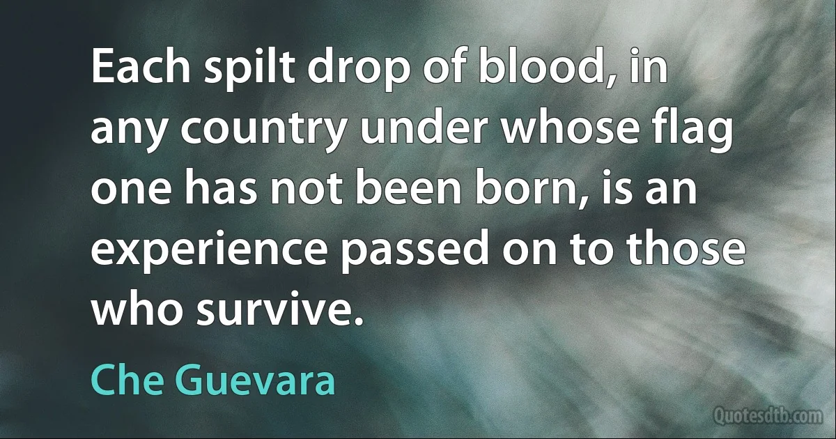 Each spilt drop of blood, in any country under whose flag one has not been born, is an experience passed on to those who survive. (Che Guevara)