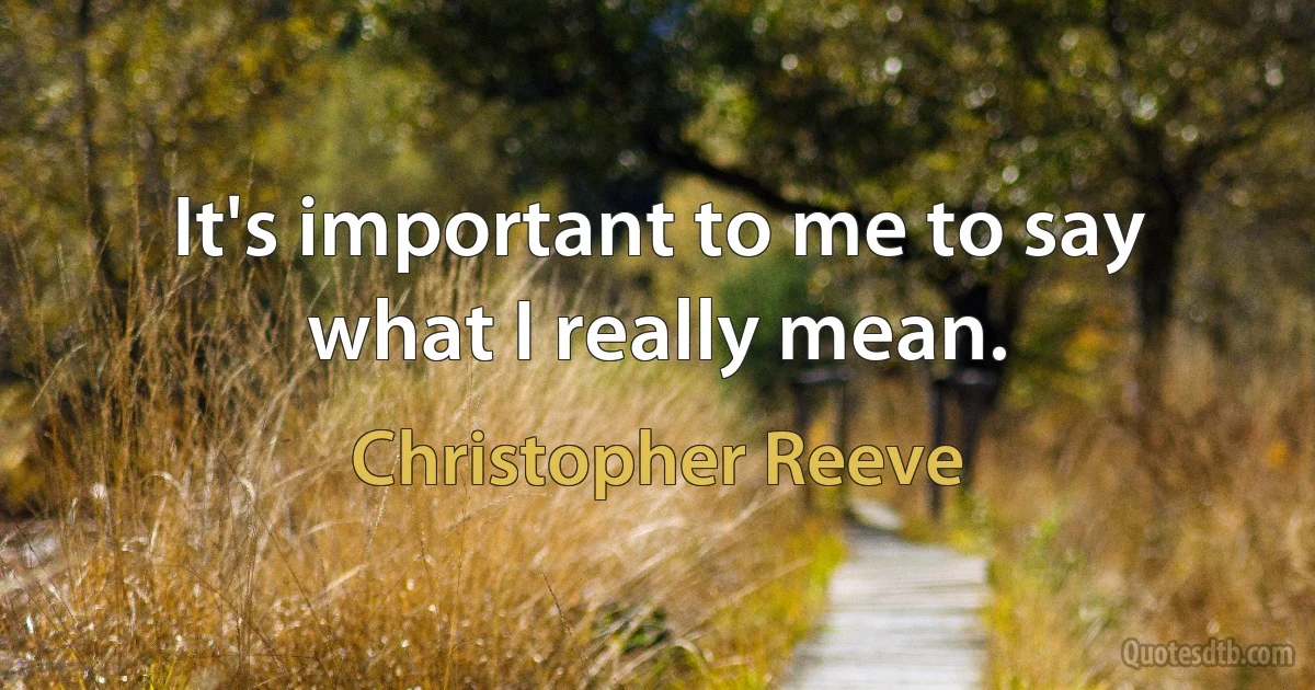 It's important to me to say what I really mean. (Christopher Reeve)