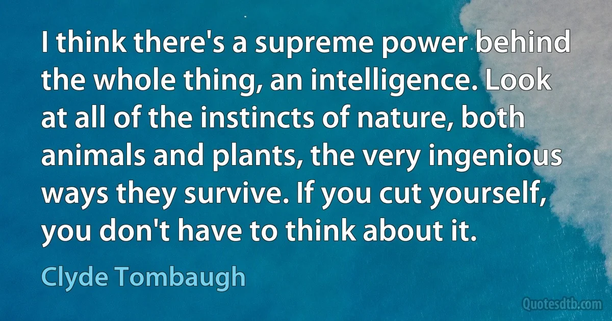 I think there's a supreme power behind the whole thing, an intelligence. Look at all of the instincts of nature, both animals and plants, the very ingenious ways they survive. If you cut yourself, you don't have to think about it. (Clyde Tombaugh)