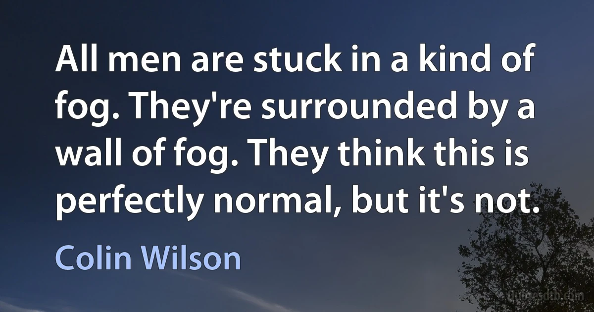 All men are stuck in a kind of fog. They're surrounded by a wall of fog. They think this is perfectly normal, but it's not. (Colin Wilson)