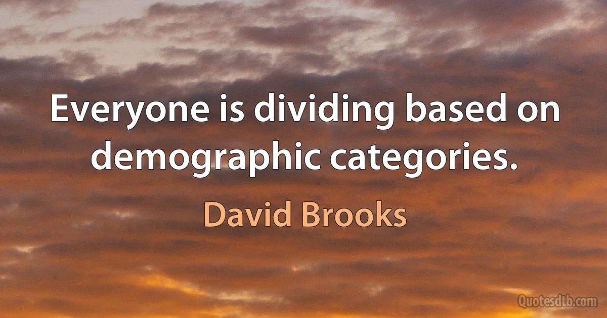 Everyone is dividing based on demographic categories. (David Brooks)