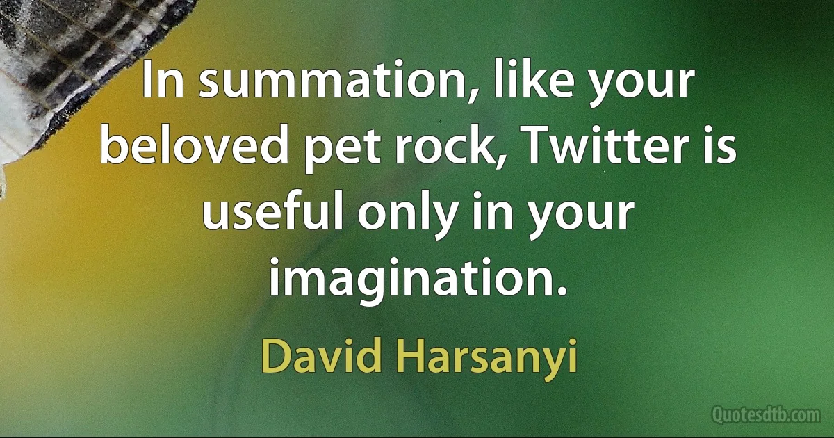 In summation, like your beloved pet rock, Twitter is useful only in your imagination. (David Harsanyi)