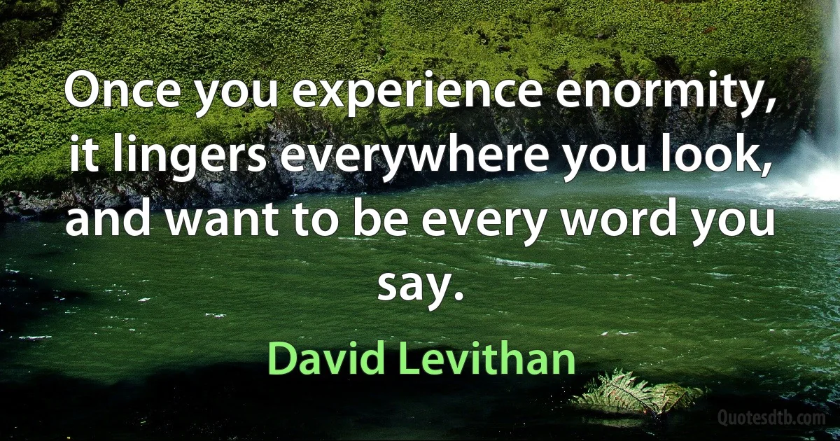 Once you experience enormity, it lingers everywhere you look, and want to be every word you say. (David Levithan)