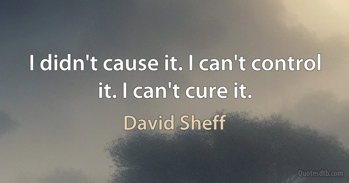 I didn't cause it. I can't control it. I can't cure it. (David Sheff)