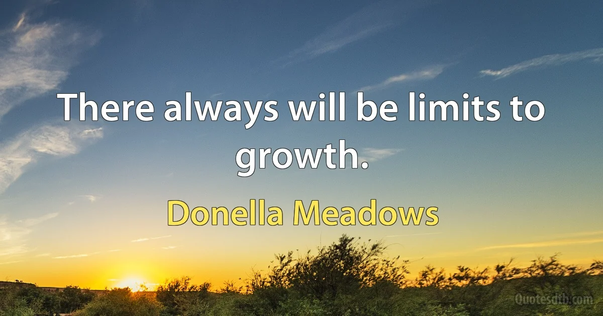 There always will be limits to growth. (Donella Meadows)