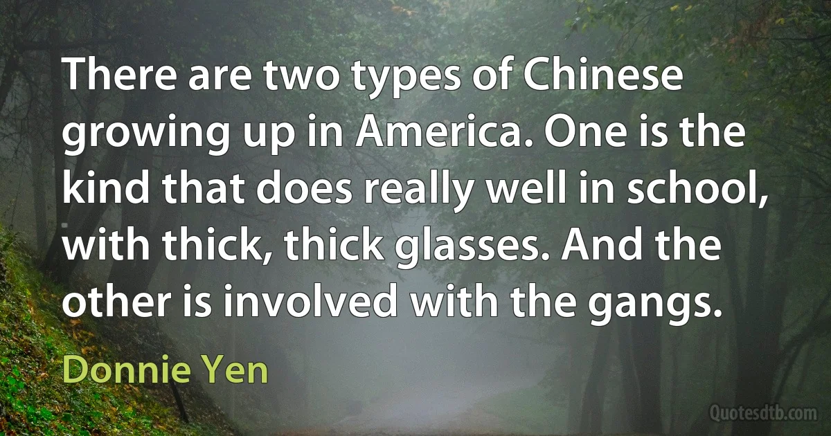 There are two types of Chinese growing up in America. One is the kind that does really well in school, with thick, thick glasses. And the other is involved with the gangs. (Donnie Yen)