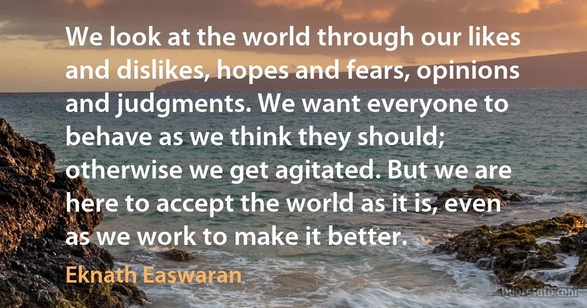 We look at the world through our likes and dislikes, hopes and fears, opinions and judgments. We want everyone to behave as we think they should; otherwise we get agitated. But we are here to accept the world as it is, even as we work to make it better. (Eknath Easwaran)