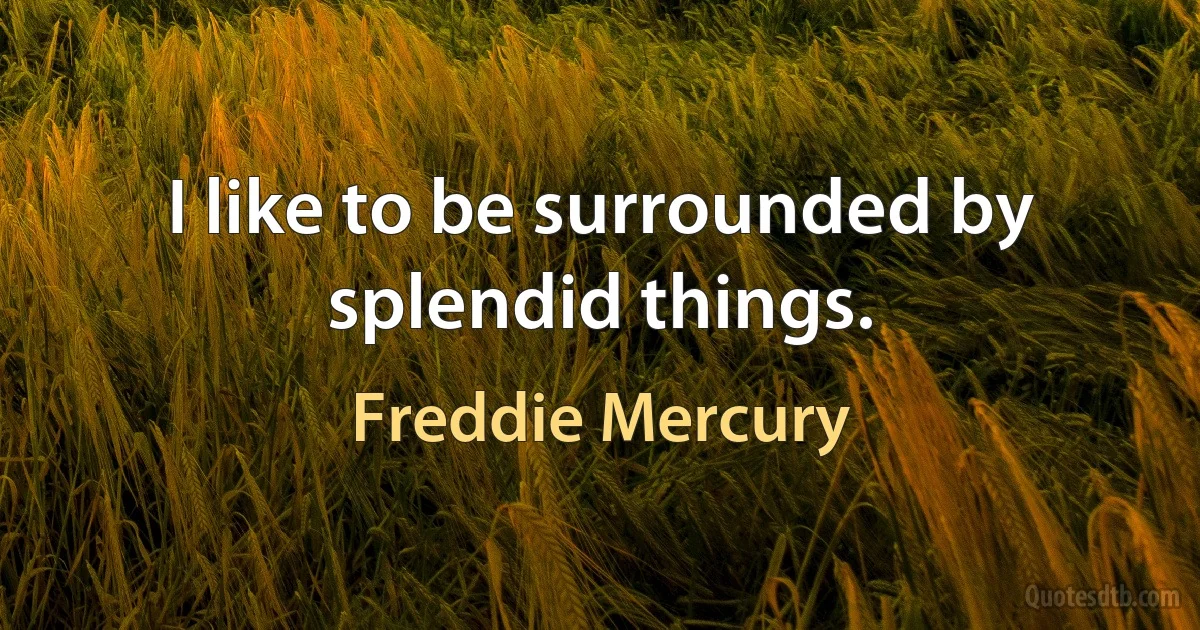 I like to be surrounded by splendid things. (Freddie Mercury)