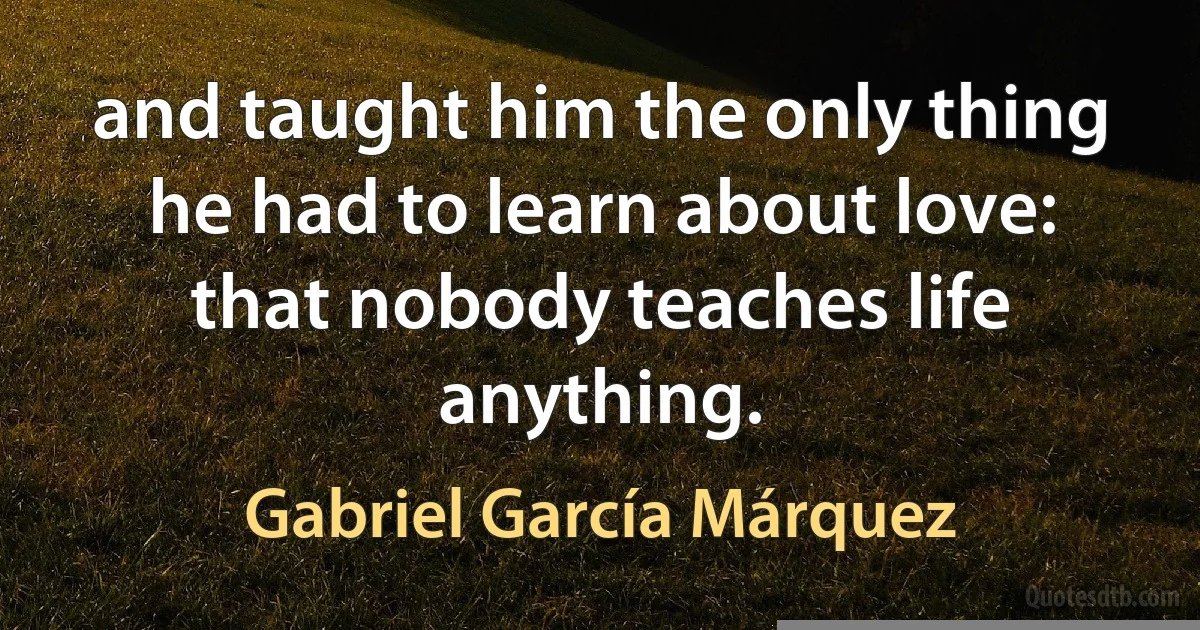 and taught him the only thing he had to learn about love: that nobody teaches life anything. (Gabriel García Márquez)