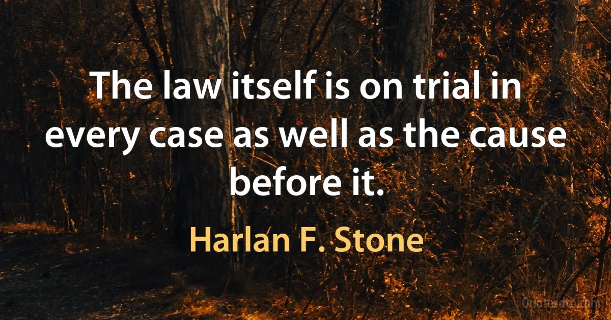 The law itself is on trial in every case as well as the cause before it. (Harlan F. Stone)