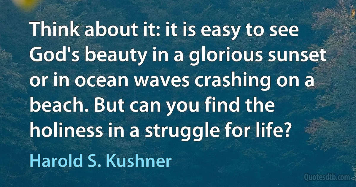 Think about it: it is easy to see God's beauty in a glorious sunset or in ocean waves crashing on a beach. But can you find the holiness in a struggle for life? (Harold S. Kushner)