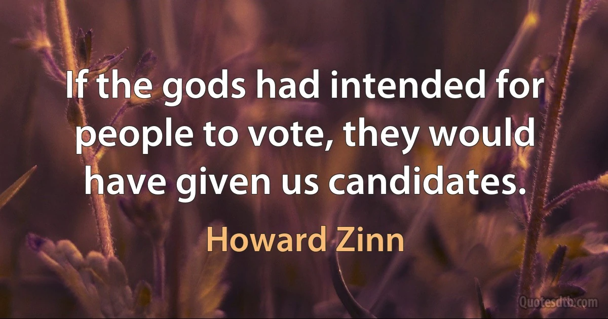 If the gods had intended for people to vote, they would have given us candidates. (Howard Zinn)