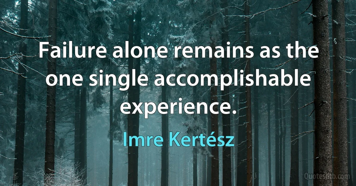 Failure alone remains as the one single accomplishable experience. (Imre Kertész)