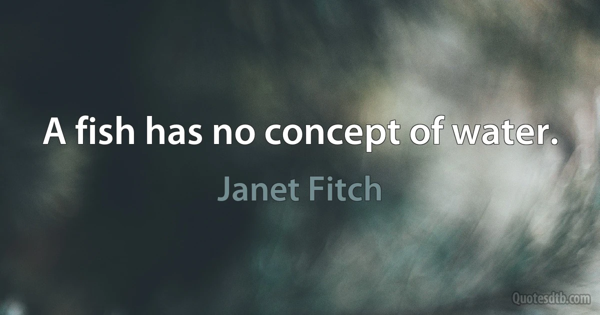 A fish has no concept of water. (Janet Fitch)