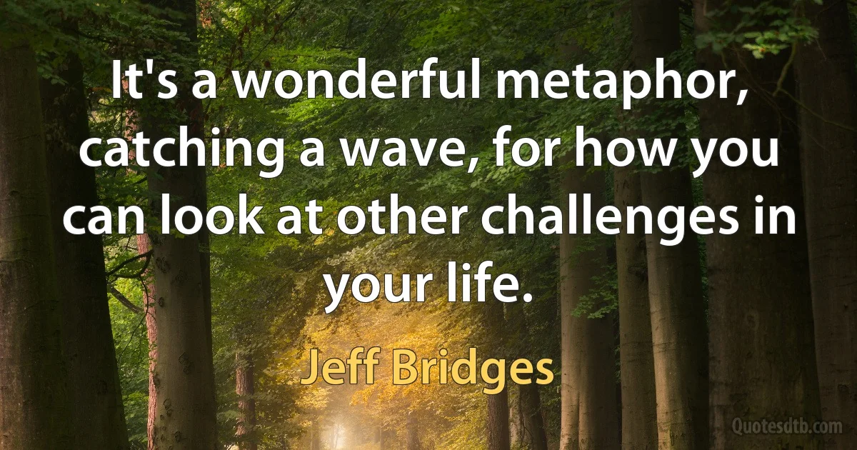 It's a wonderful metaphor, catching a wave, for how you can look at other challenges in your life. (Jeff Bridges)