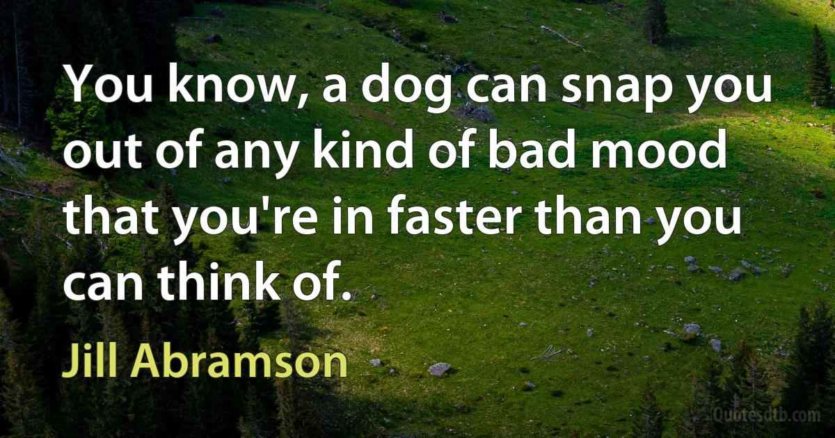 You know, a dog can snap you out of any kind of bad mood that you're in faster than you can think of. (Jill Abramson)