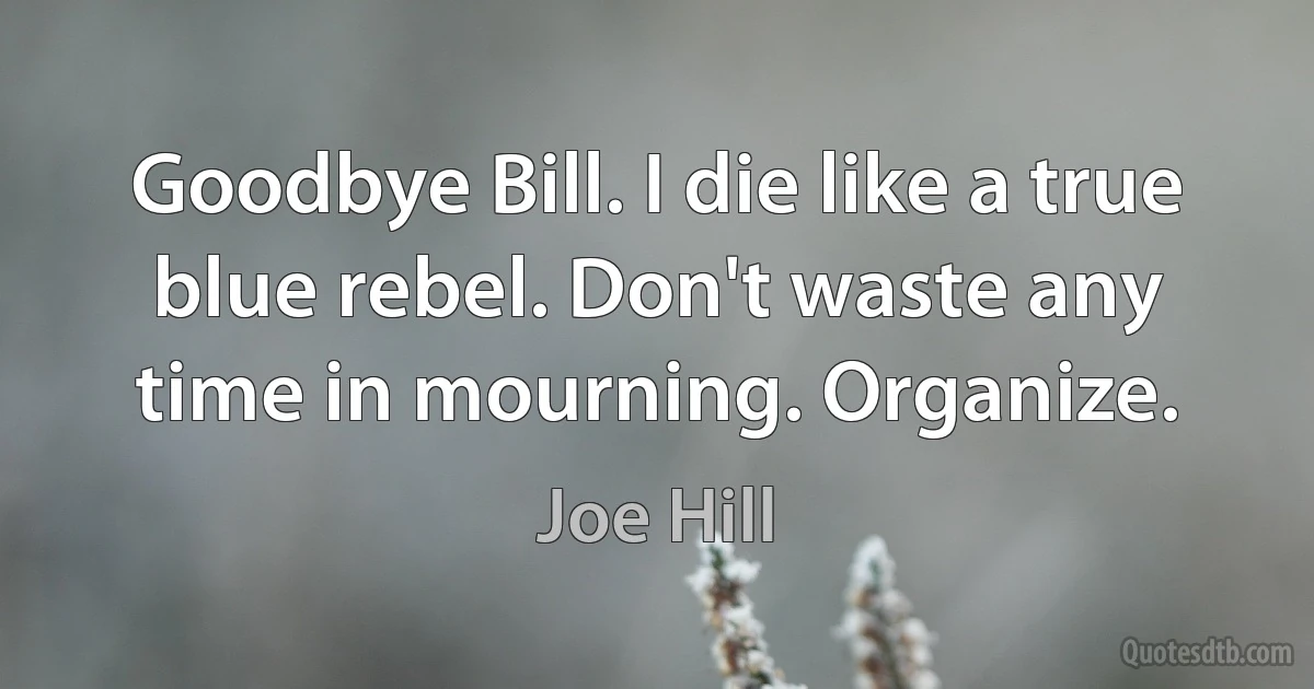 Goodbye Bill. I die like a true blue rebel. Don't waste any time in mourning. Organize. (Joe Hill)