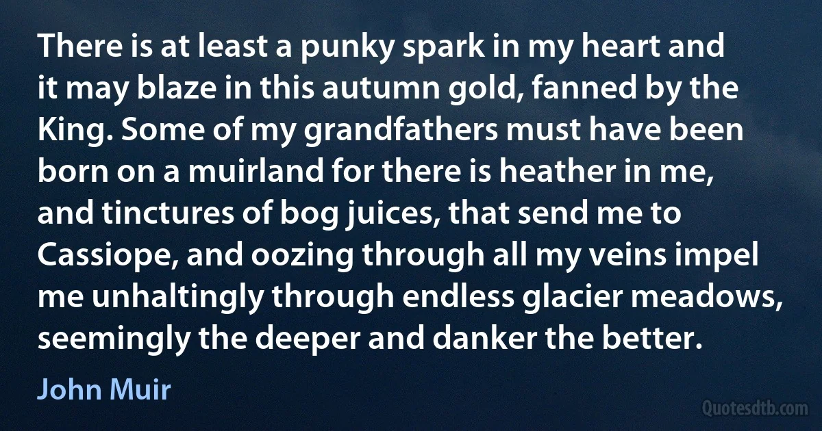 There is at least a punky spark in my heart and it may blaze in this autumn gold, fanned by the King. Some of my grandfathers must have been born on a muirland for there is heather in me, and tinctures of bog juices, that send me to Cassiope, and oozing through all my veins impel me unhaltingly through endless glacier meadows, seemingly the deeper and danker the better. (John Muir)