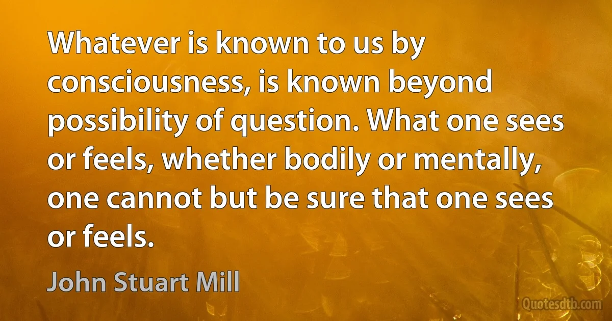 Whatever is known to us by consciousness, is known beyond possibility of question. What one sees or feels, whether bodily or mentally, one cannot but be sure that one sees or feels. (John Stuart Mill)