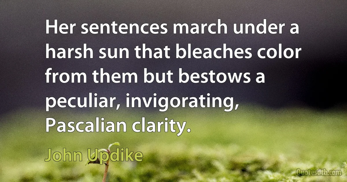 Her sentences march under a harsh sun that bleaches color from them but bestows a peculiar, invigorating, Pascalian clarity. (John Updike)