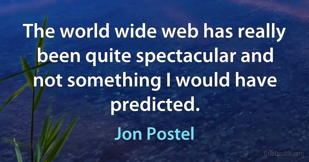 The world wide web has really been quite spectacular and not something I would have predicted. (Jon Postel)