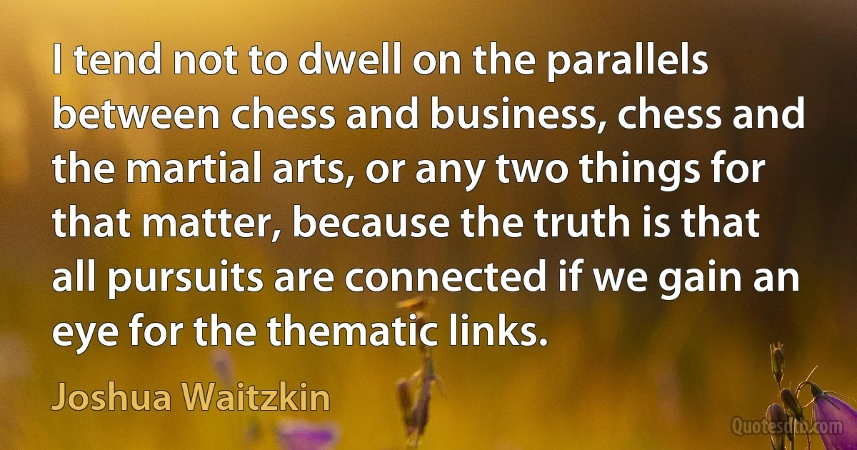 I tend not to dwell on the parallels between chess and business, chess and the martial arts, or any two things for that matter, because the truth is that all pursuits are connected if we gain an eye for the thematic links. (Joshua Waitzkin)