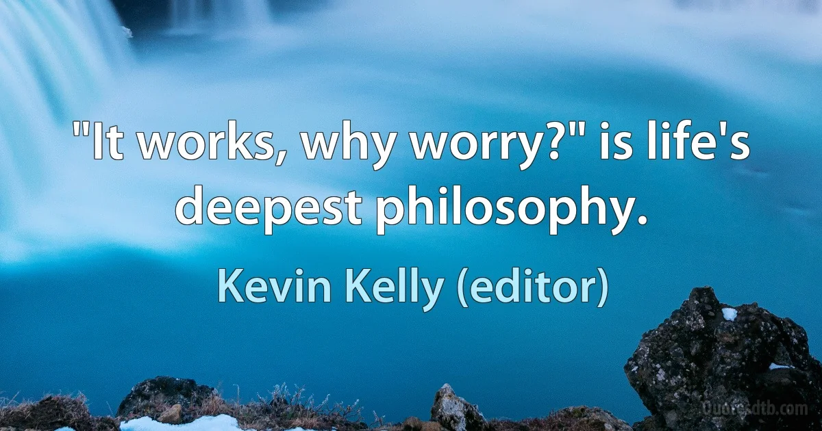 "It works, why worry?" is life's deepest philosophy. (Kevin Kelly (editor))