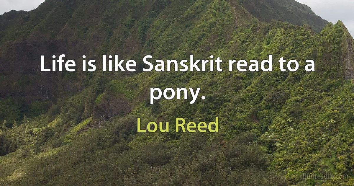 Life is like Sanskrit read to a pony. (Lou Reed)