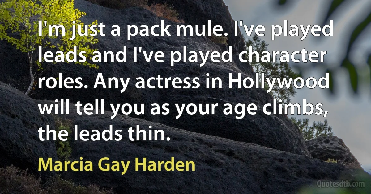 I'm just a pack mule. I've played leads and I've played character roles. Any actress in Hollywood will tell you as your age climbs, the leads thin. (Marcia Gay Harden)