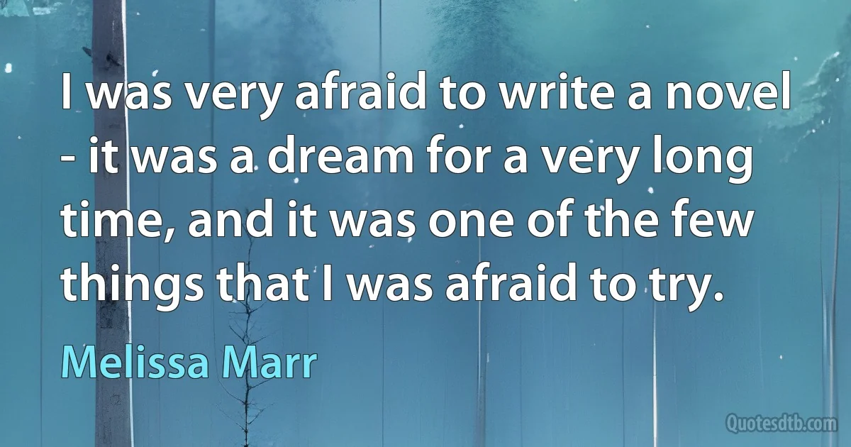 I was very afraid to write a novel - it was a dream for a very long time, and it was one of the few things that I was afraid to try. (Melissa Marr)