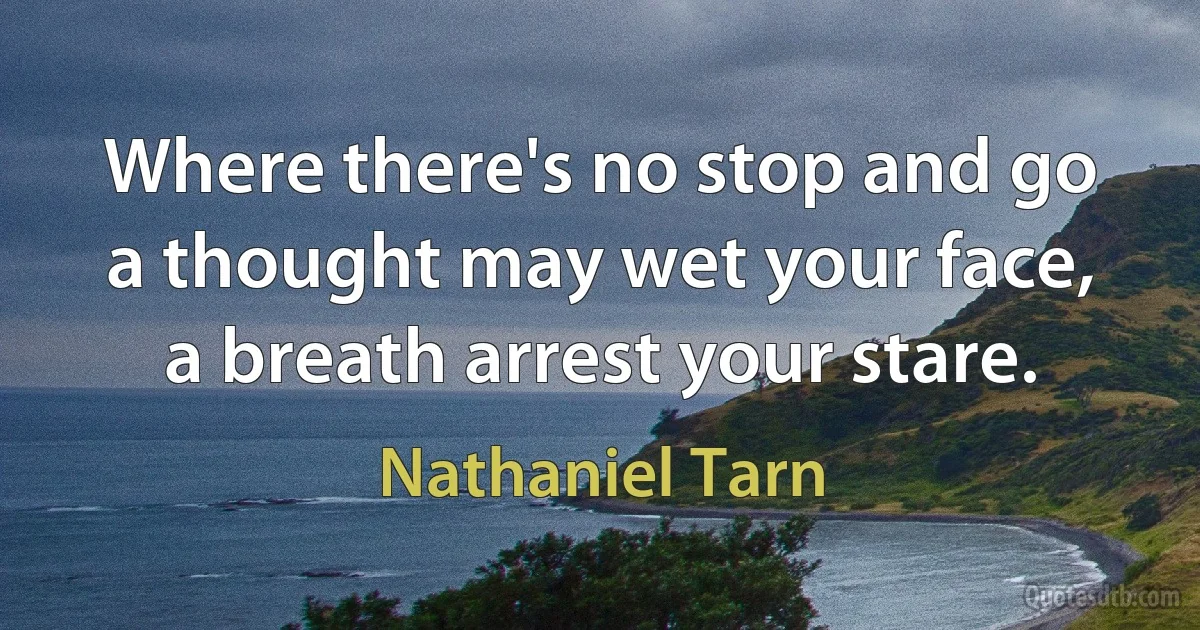 Where there's no stop and go
a thought may wet your face,
a breath arrest your stare. (Nathaniel Tarn)