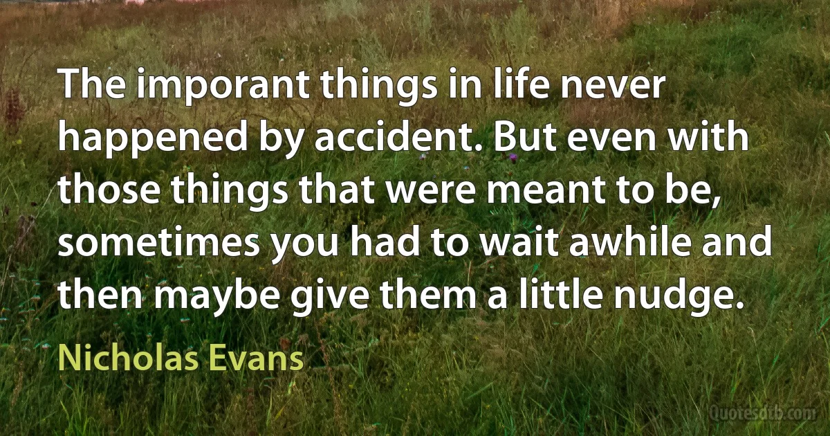 The imporant things in life never happened by accident. But even with those things that were meant to be, sometimes you had to wait awhile and then maybe give them a little nudge. (Nicholas Evans)