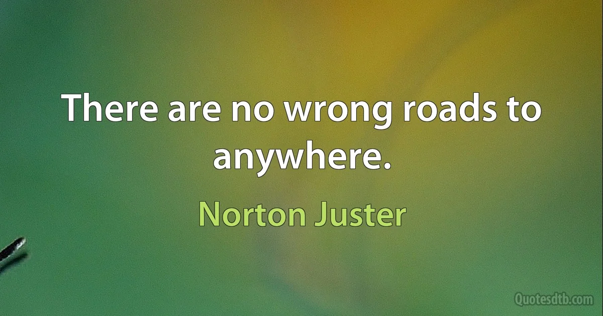 There are no wrong roads to anywhere. (Norton Juster)