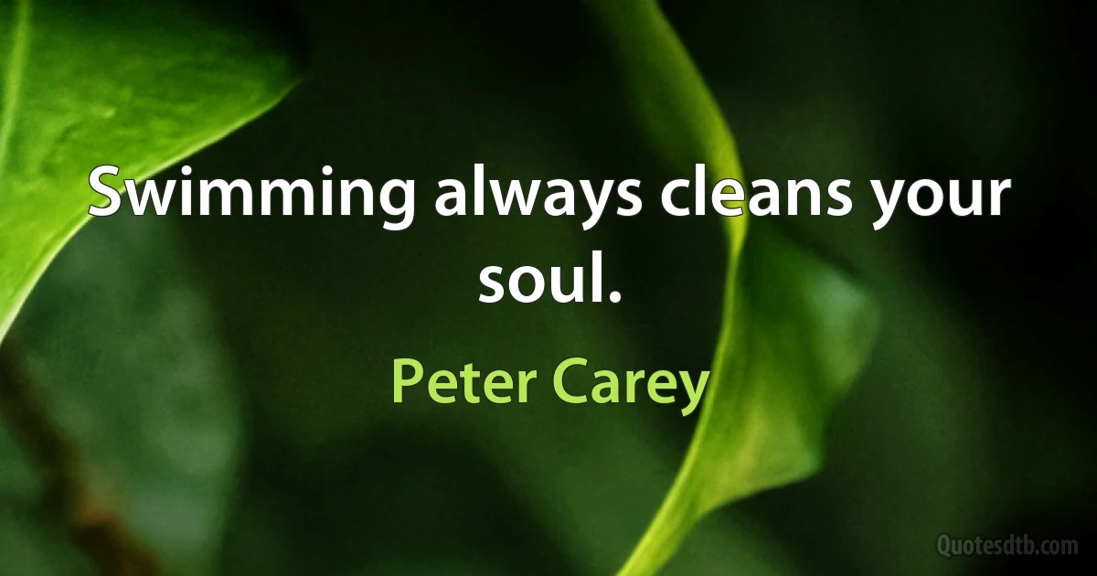 Swimming always cleans your soul. (Peter Carey)