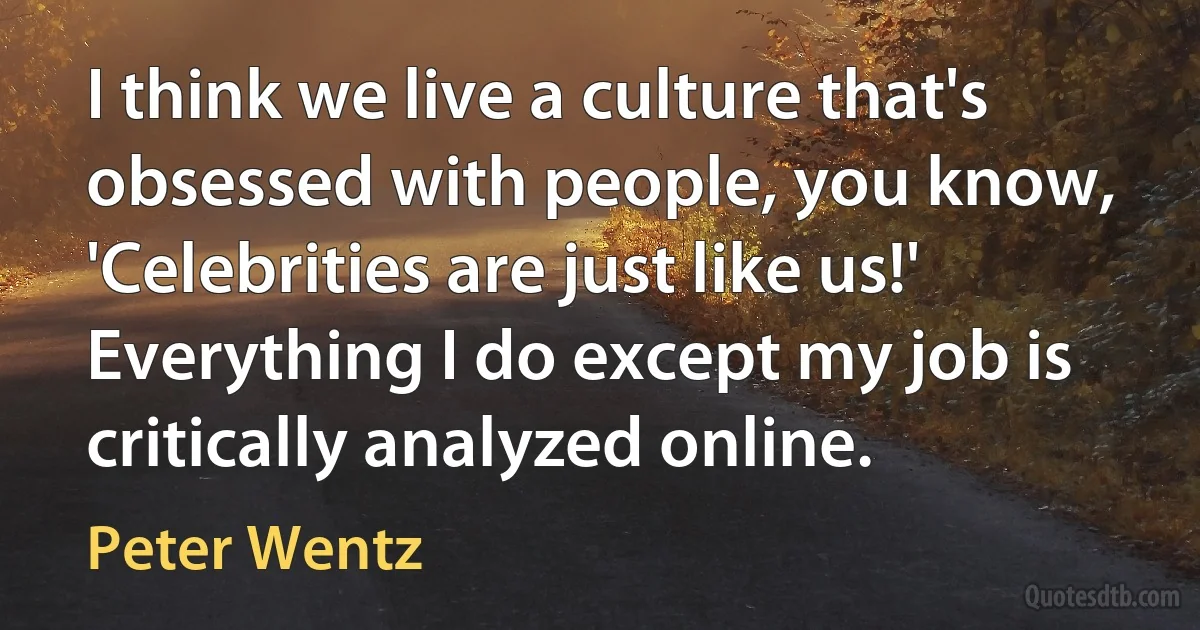 I think we live a culture that's obsessed with people, you know, 'Celebrities are just like us!' Everything I do except my job is critically analyzed online. (Peter Wentz)